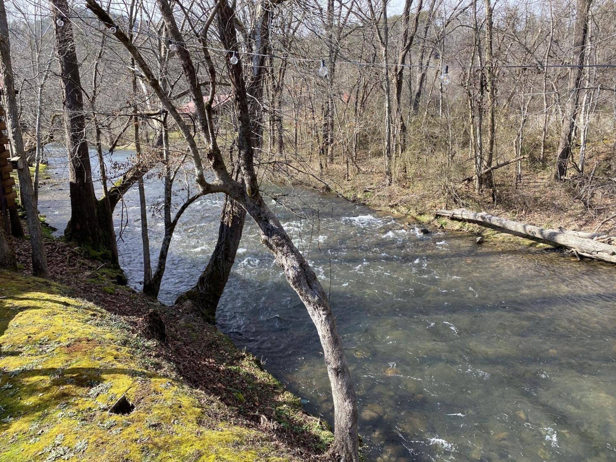 Gray'S Place On Cosby Creek - 2 Bedrooms, 2 Baths, Sleeps 6 Home Bagian luar foto