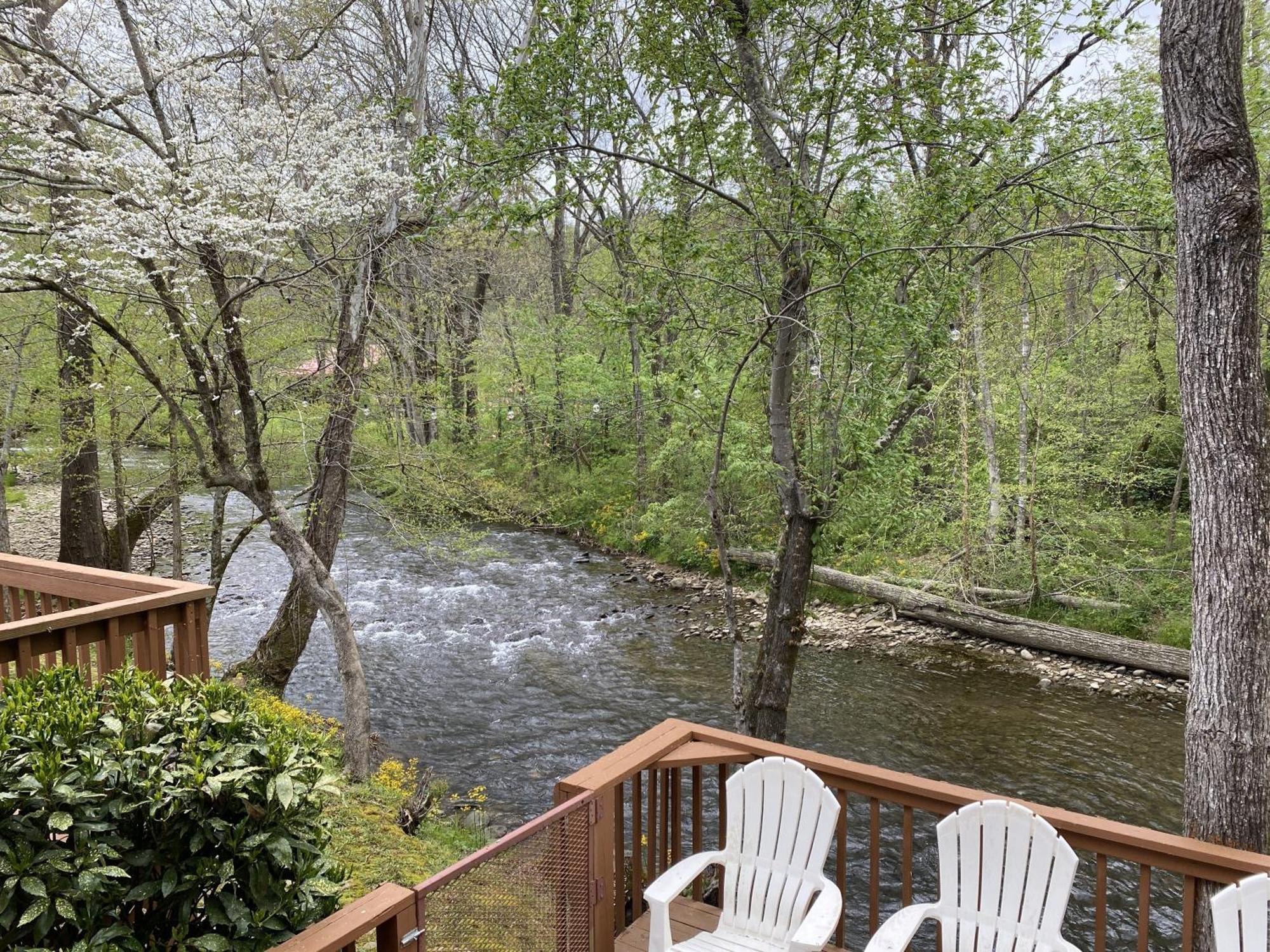 Gray'S Place On Cosby Creek - 2 Bedrooms, 2 Baths, Sleeps 6 Home Bagian luar foto